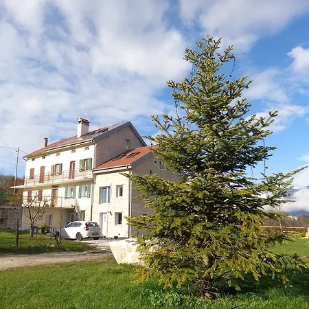 Bonavista