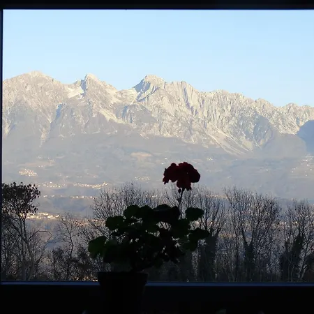 Bonavista Ponte nellʼAlpi